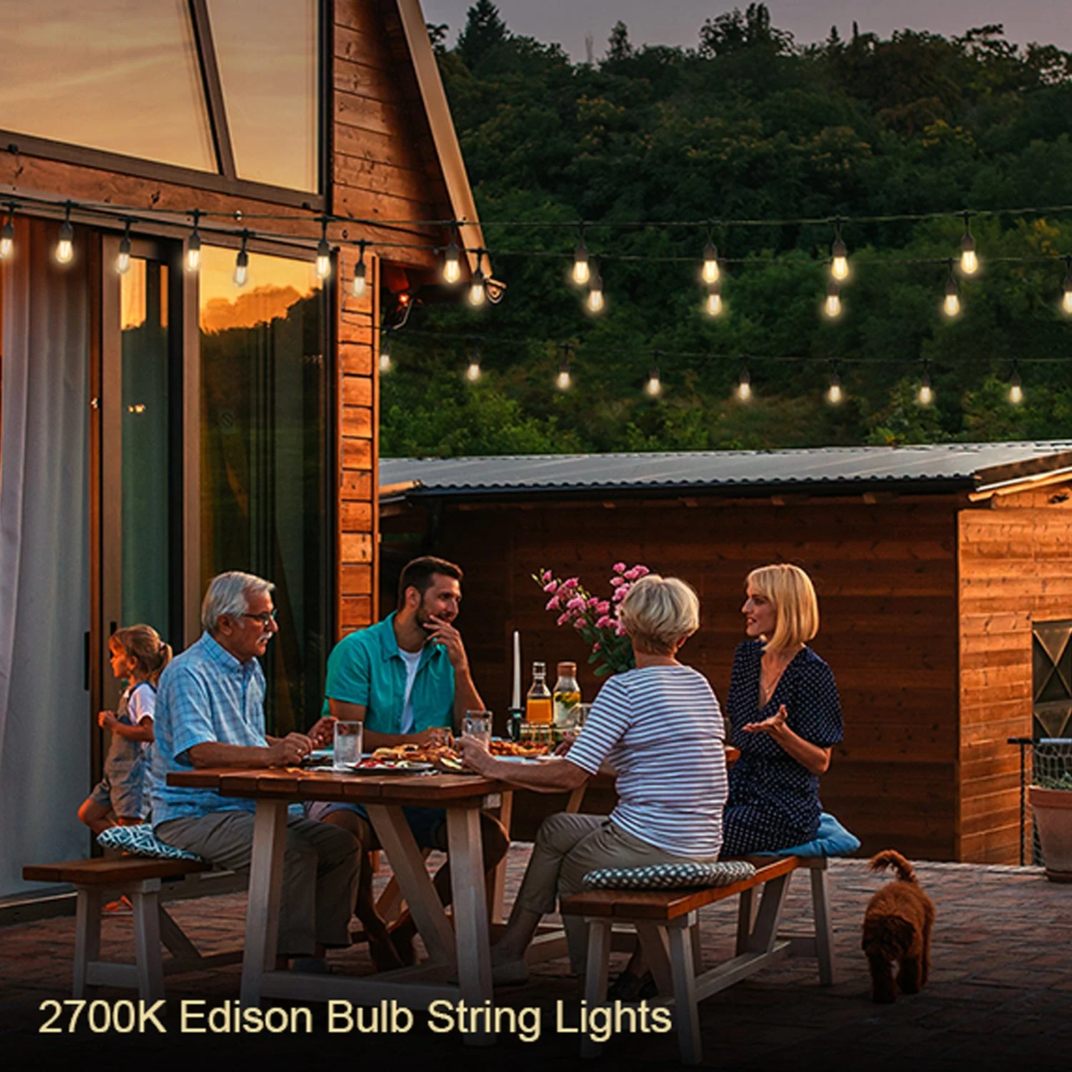 SL102 LED Dimmable Smart Bistro String Lights Outdoor Weatherproof 12V Edison Bulbs - Image 12