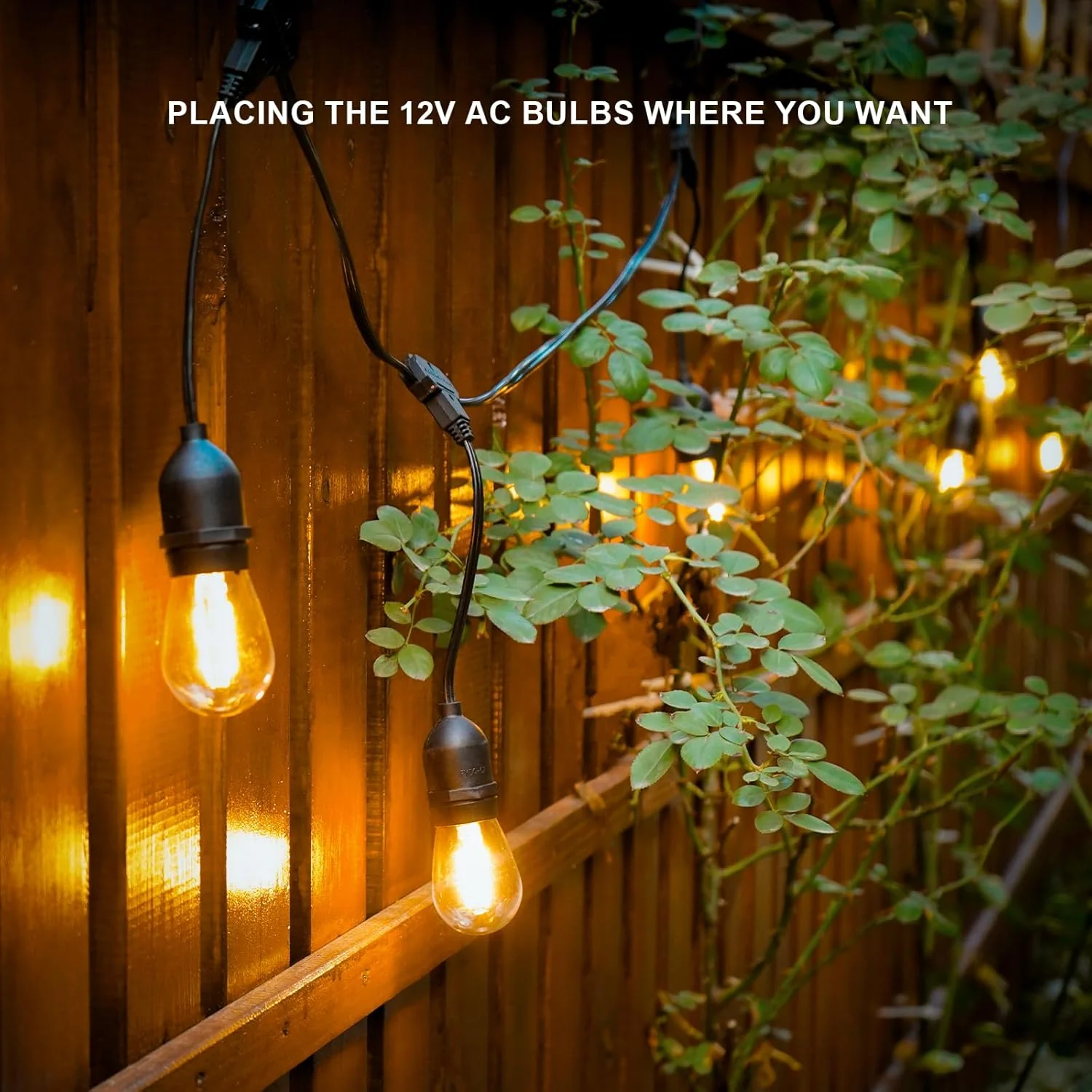 SL103 2800K Warm White LED Low Voltage Bistro String Lights 50 FT Outdoor Weatherproof 10pcs Connect Anywhere 12V Edison Bulbs - Image 15