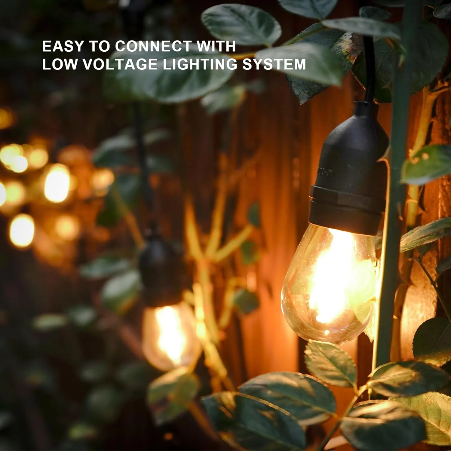 SL103 2800K Warm White LED Low Voltage Bistro String Lights 50 FT Outdoor Weatherproof 10pcs Connect Anywhere 12V Edison Bulbs - Image 17