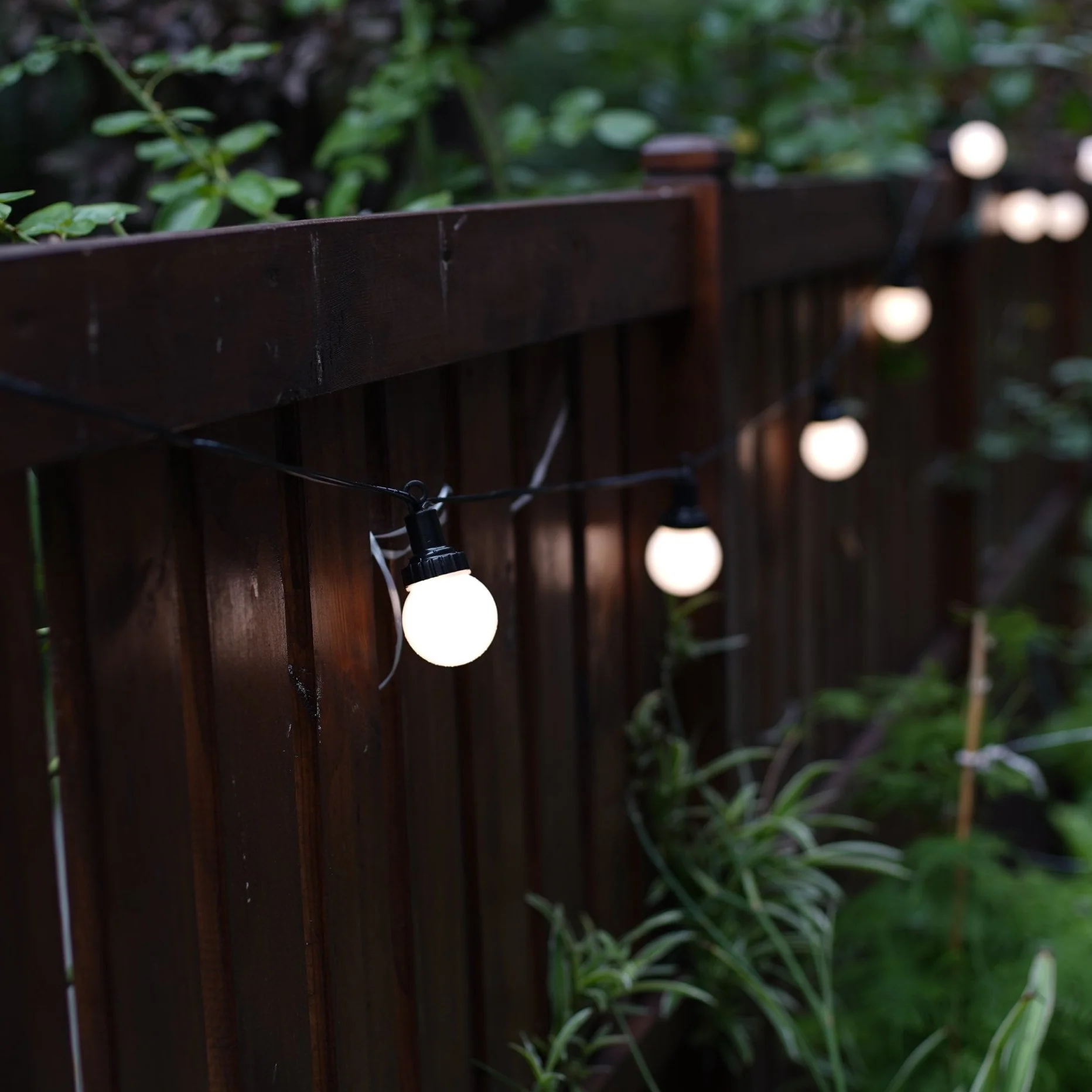 SL104 3800K Warm White LED Low Voltage Bistro Indoor String Lights 34 FT 12pcs 12V 0.5W G30 LED Bulbs - Image 11