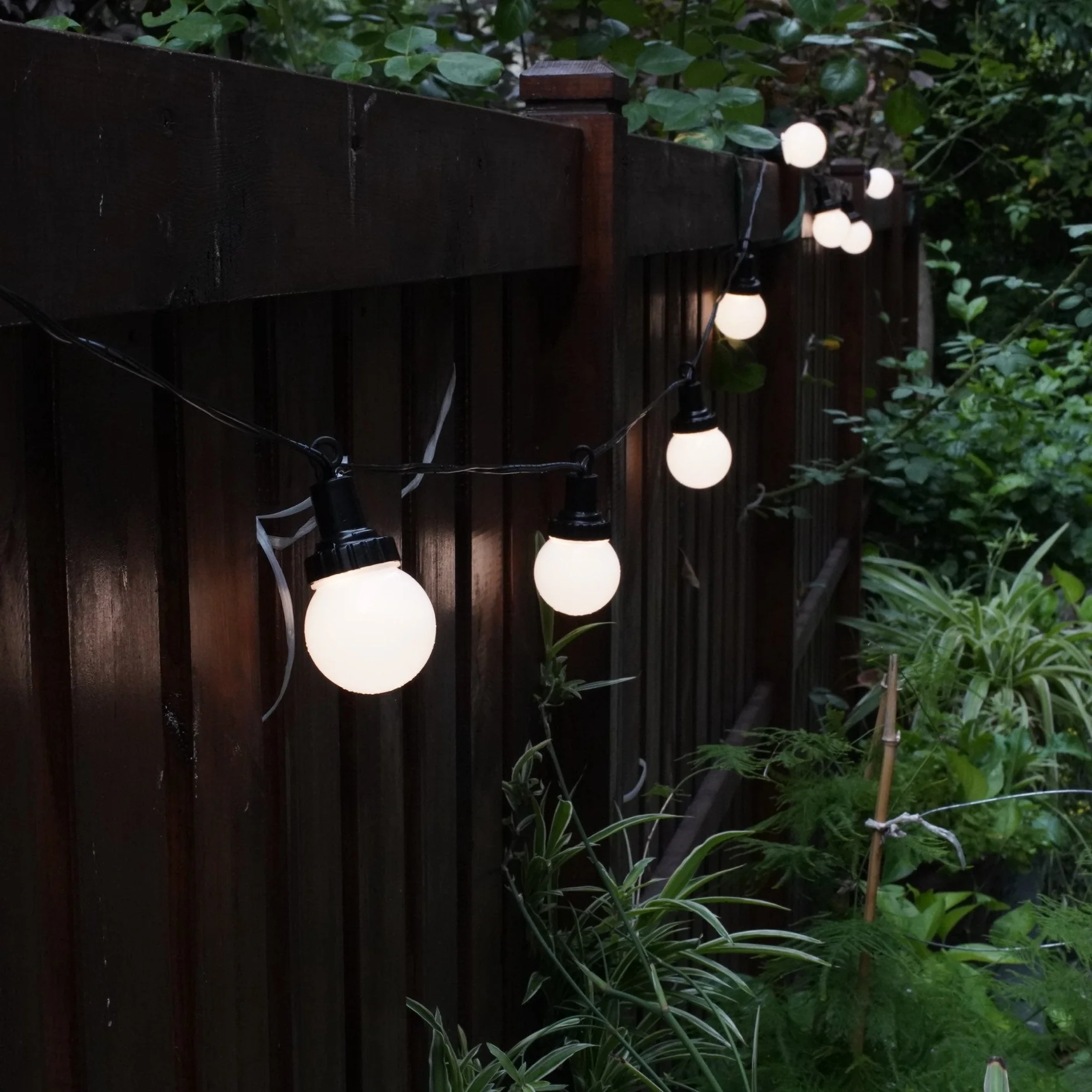 SL104 3800K Warm White LED Low Voltage Bistro Indoor String Lights 34 FT 12pcs 12V 0.5W G30 LED Bulbs - Image 8