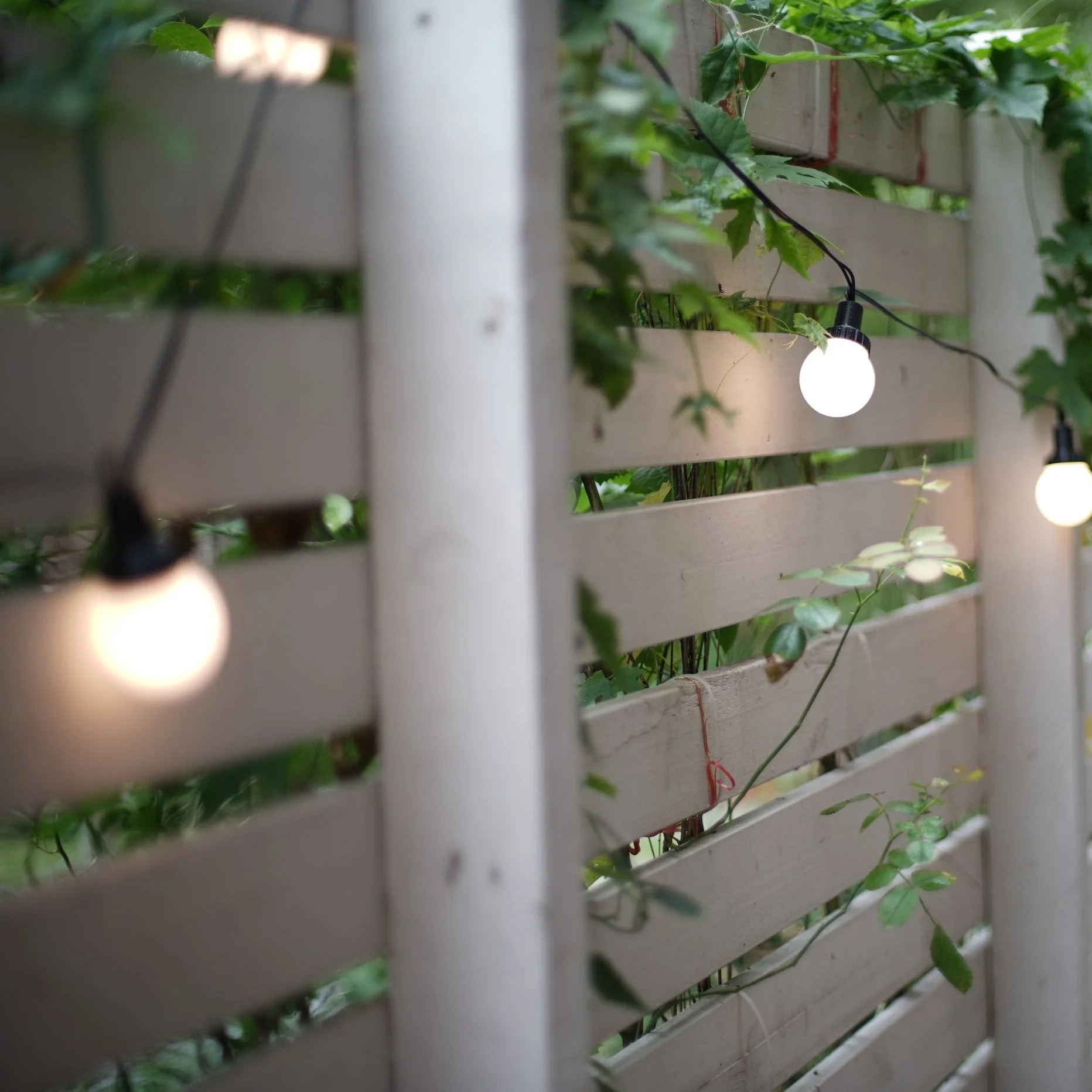 SL104 3800K Warm White LED Low Voltage Bistro Indoor String Lights 34 FT 12pcs 12V 0.5W G30 LED Bulbs - Image 9