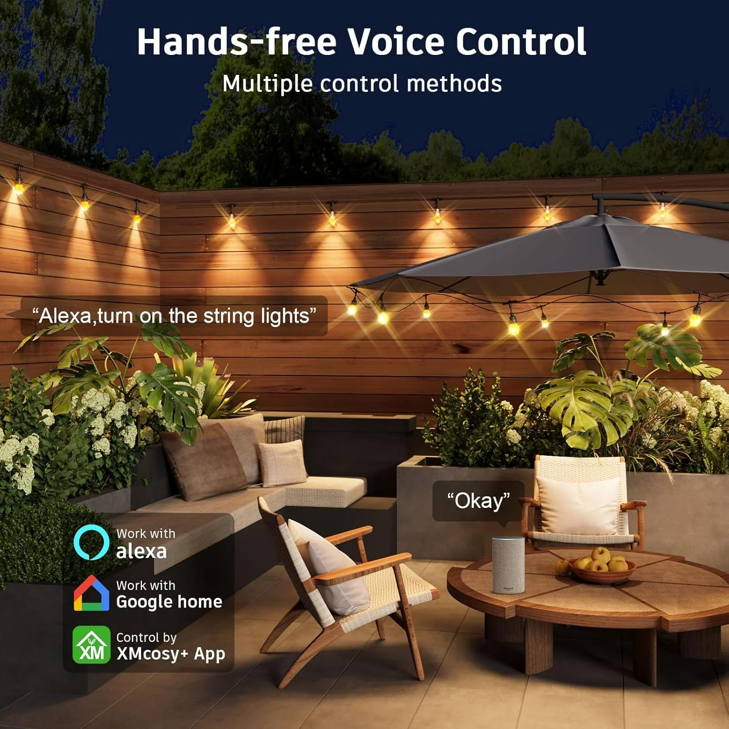 SLR103 LED RGBWIC Smart Bistro Acrylic String Lights Color Changing Outdoor Weatherproof 24V Edison Bulbs - Image 5
